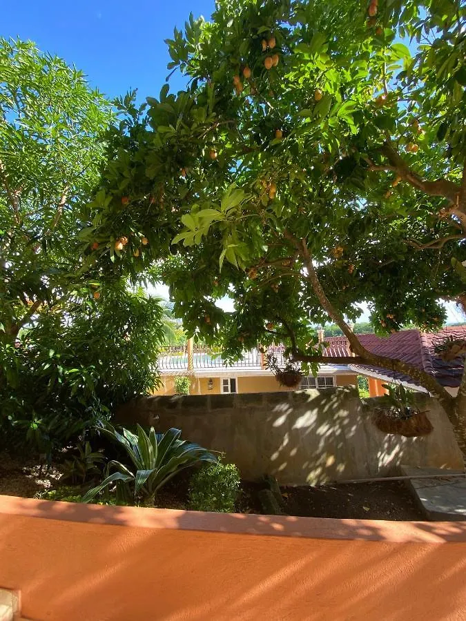 Mobay Vacation Village Μοντέγκο Μπέυ 0*,  Τζαμάικα